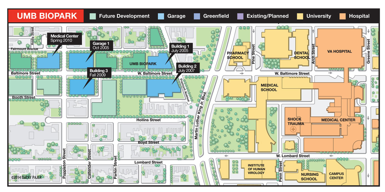 City & College Campus Map Illustration & Design